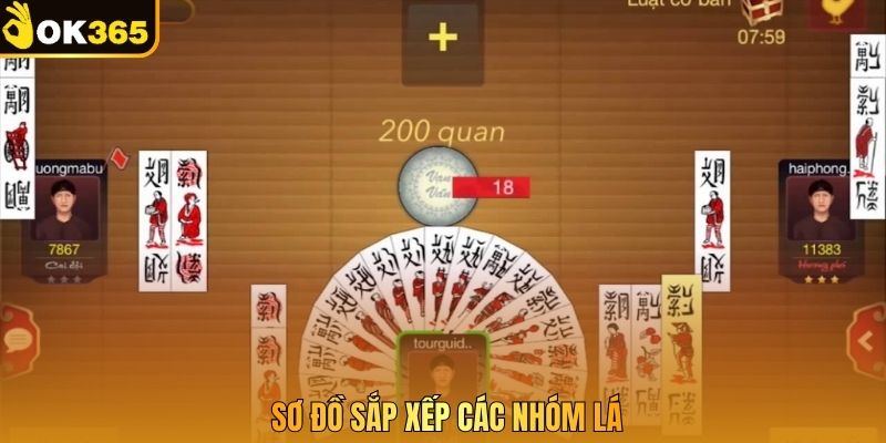 Sơ đồ sắp xếp các nhóm lá